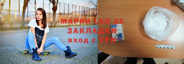 хмурый Аркадак