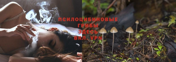 хмурый Аркадак