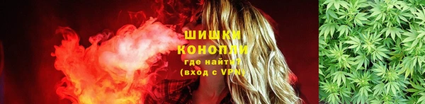 хмурый Аркадак