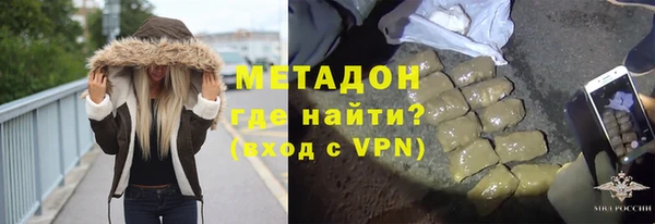 хмурый Аркадак