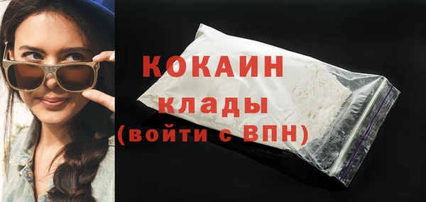 хмурый Аркадак