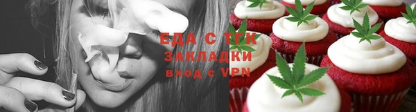 хмурый Аркадак