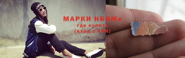 хмурый Аркадак