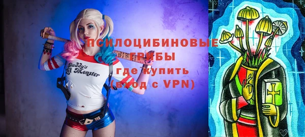 хмурый Аркадак