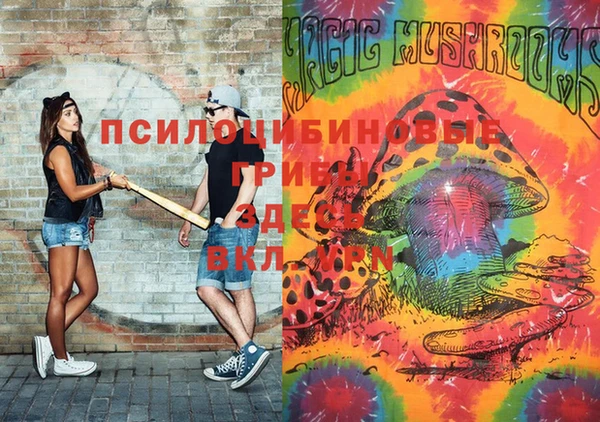 скорость Арсеньев