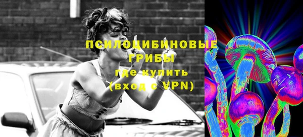 хмурый Аркадак