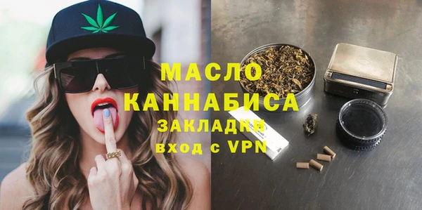 хмурый Аркадак