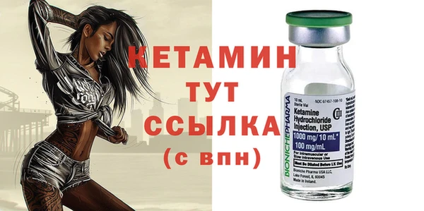 хмурый Аркадак