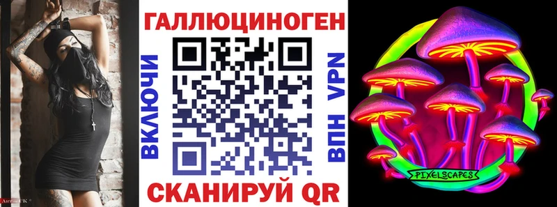 Псилоцибиновые грибы Psilocybe Краснокаменск